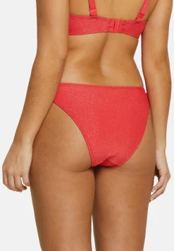Bikini Briefs Bask in bliss