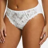 Briefs Arum