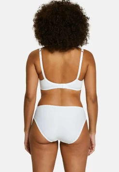 Briefs Arum