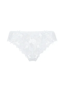 Briefs Arum
