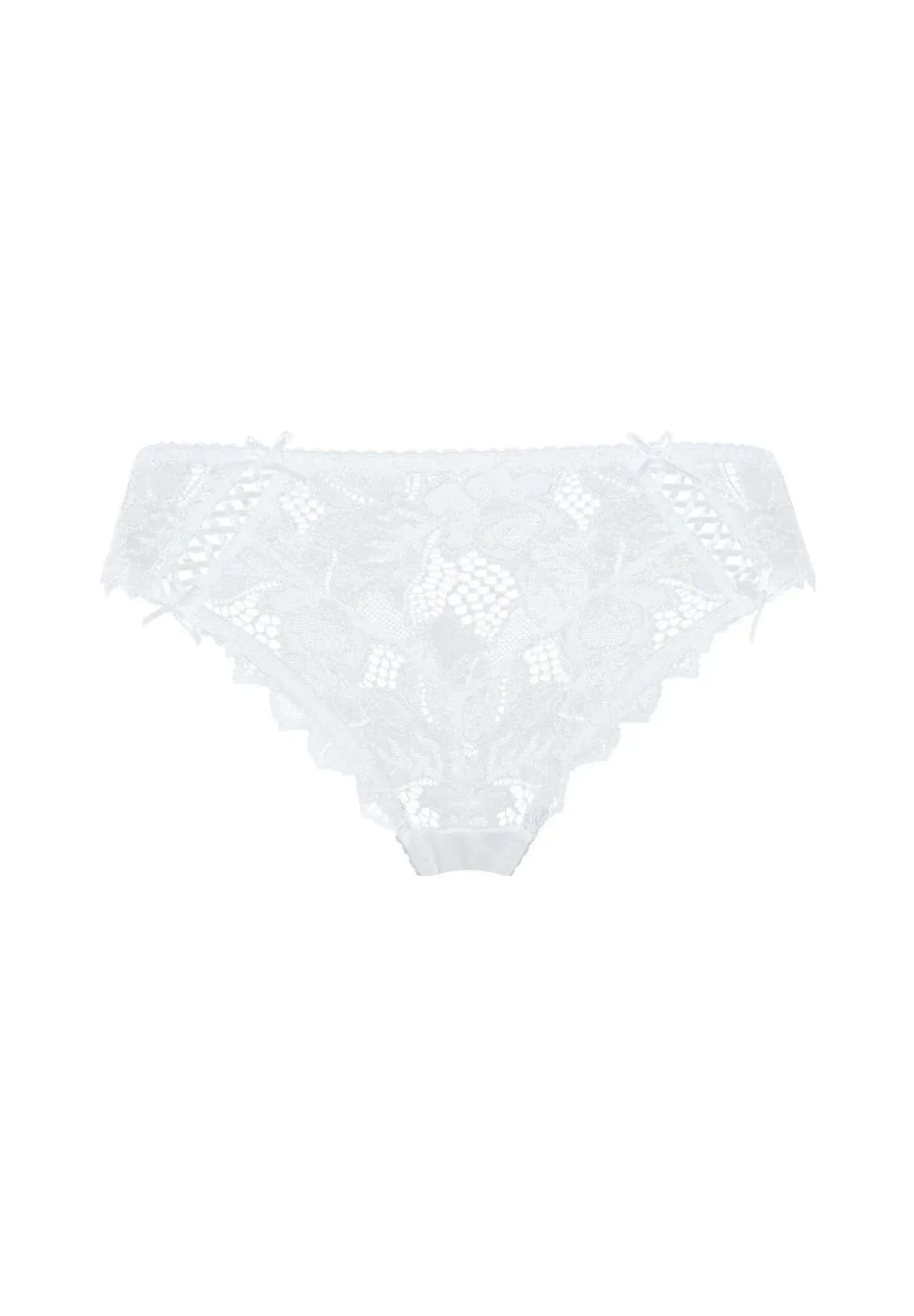 Briefs Arum