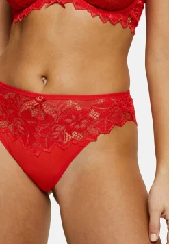 Briefs Arum Prima