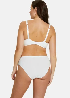 Briefs Coton d'Arum