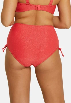 High waisted bikini medium Briefs Bask in bliss