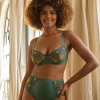 Medium briefs Georgia