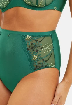 Medium briefs Georgia