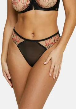 Tanga Alberta