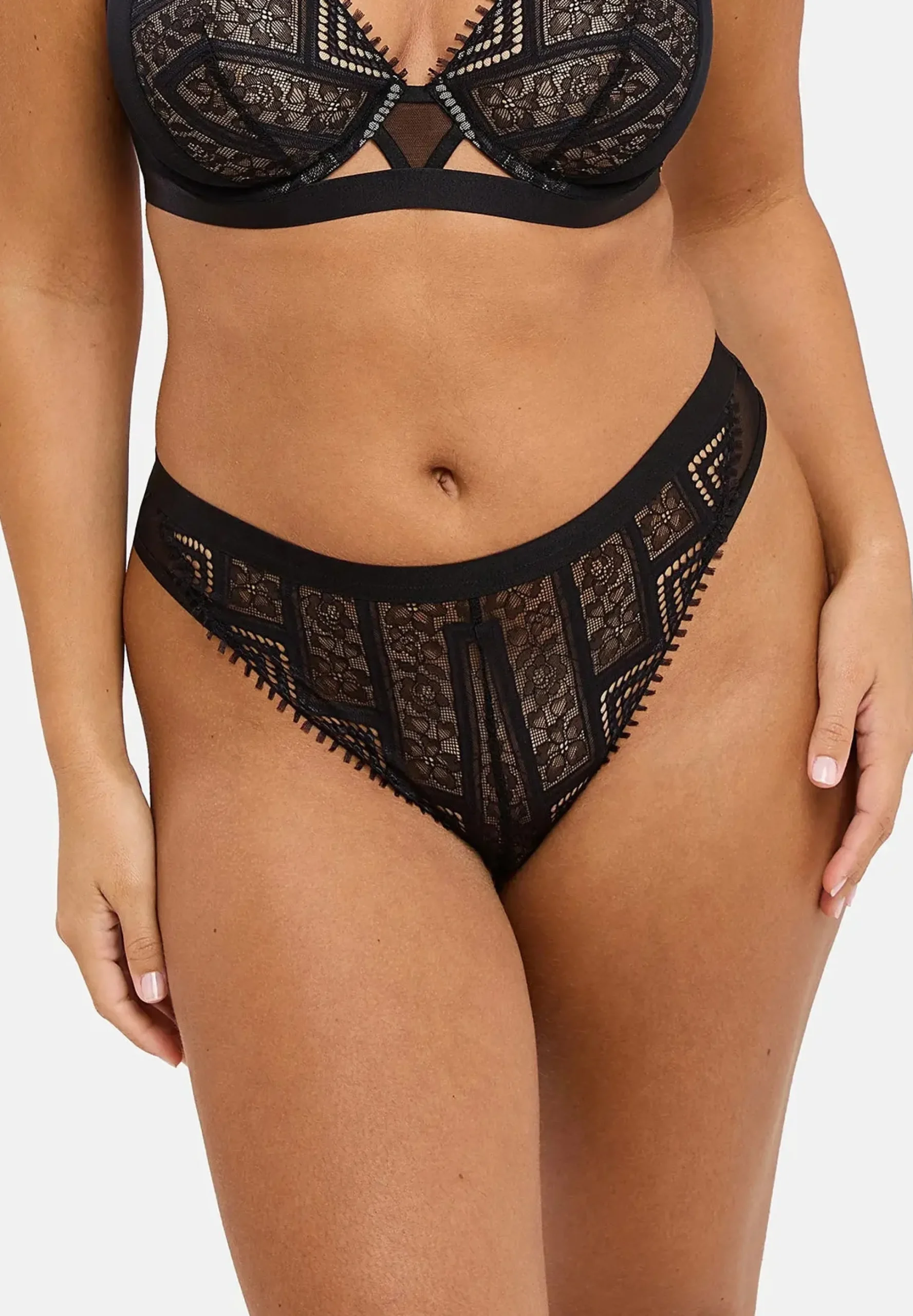 Tanga Dehlia