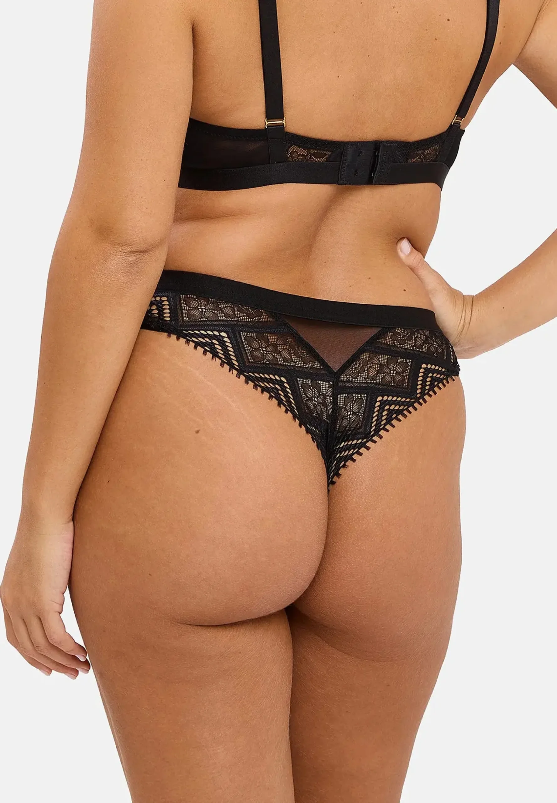 Tanga Dehlia
