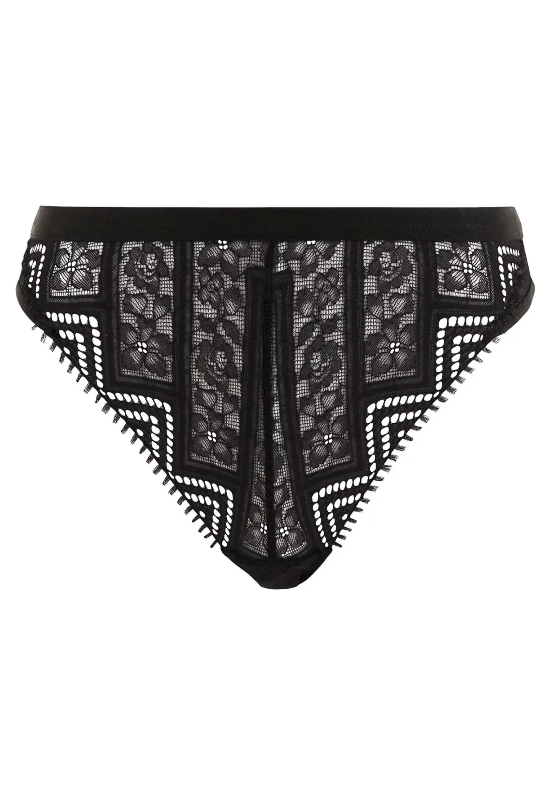 Tanga Dehlia